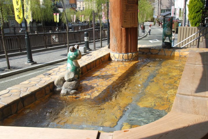 🏡 게로 온천 합장촌(게로온센갓쇼무라) 이미지 5